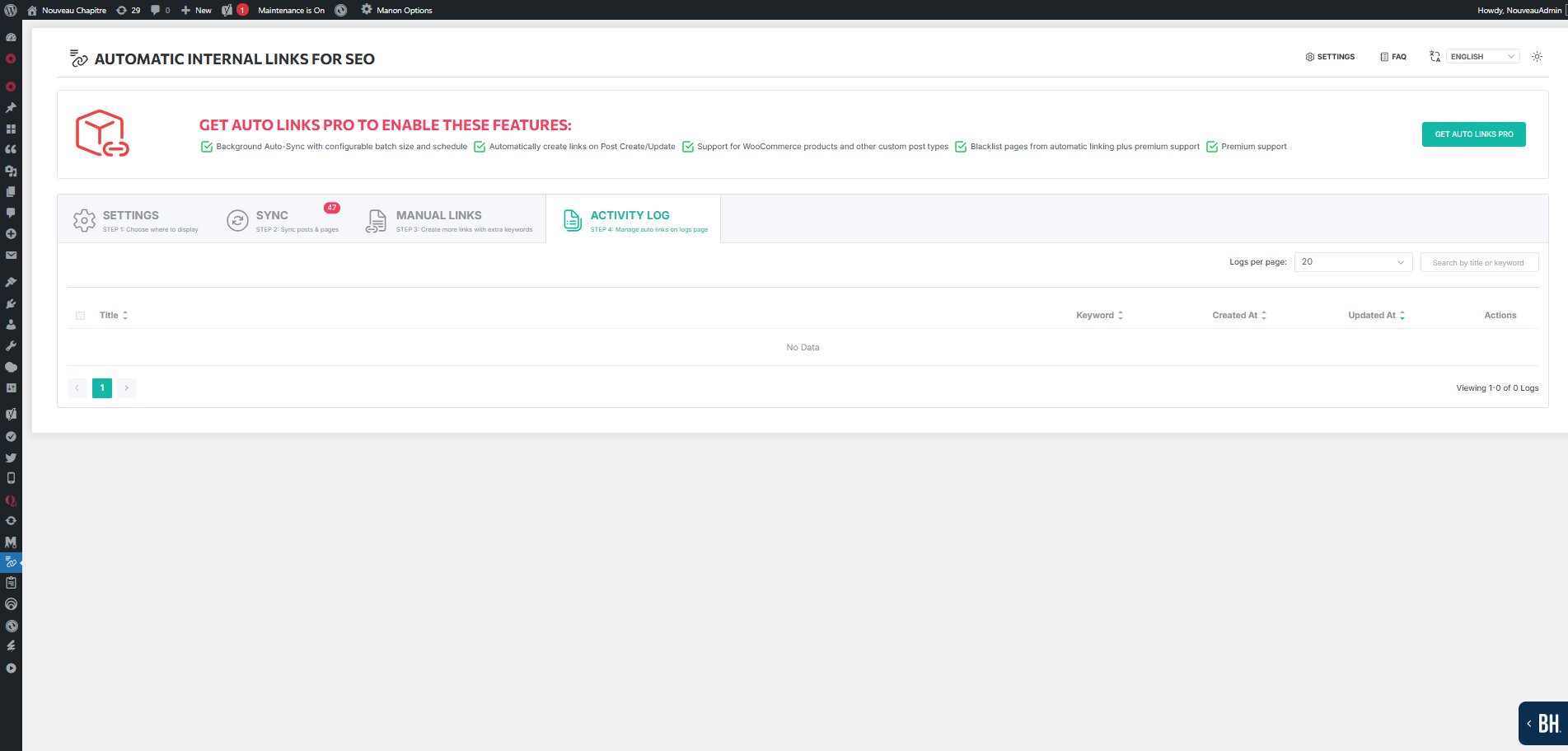 Automatic Internal Links — Activity Log with search and pagination