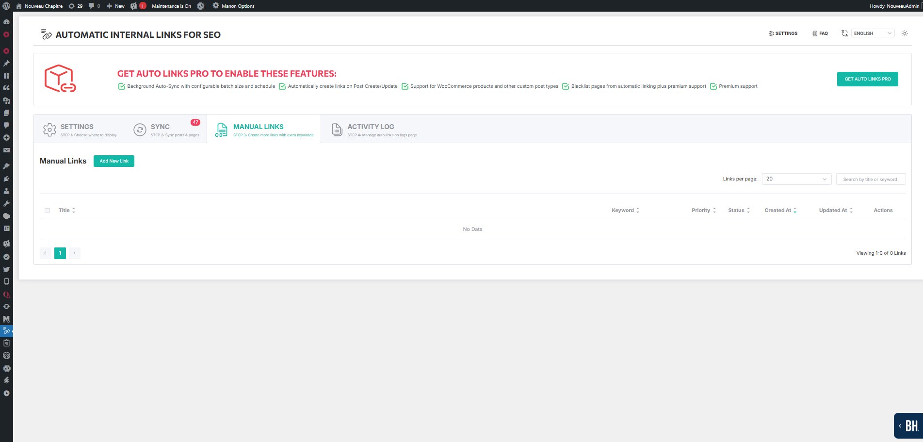 Automatic Internal Links — Manual Links tab with Add New Link