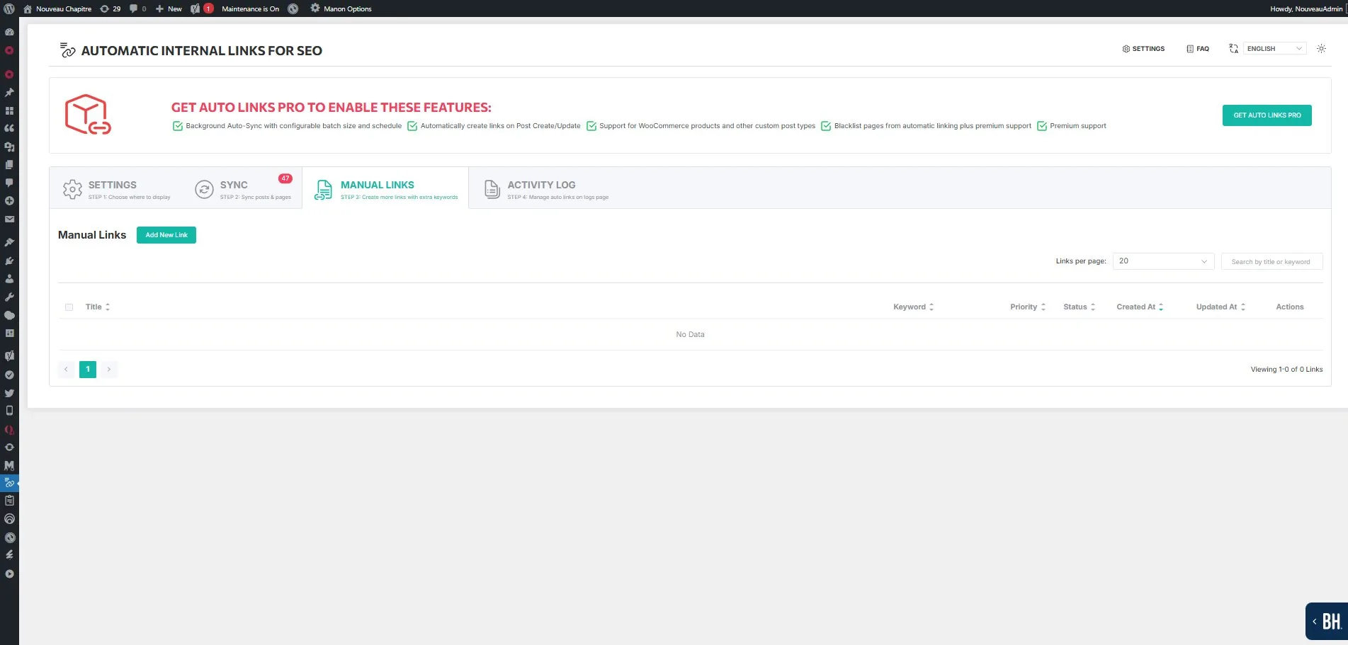 Automatic Internal Links — Manual Links tab with Add New Link