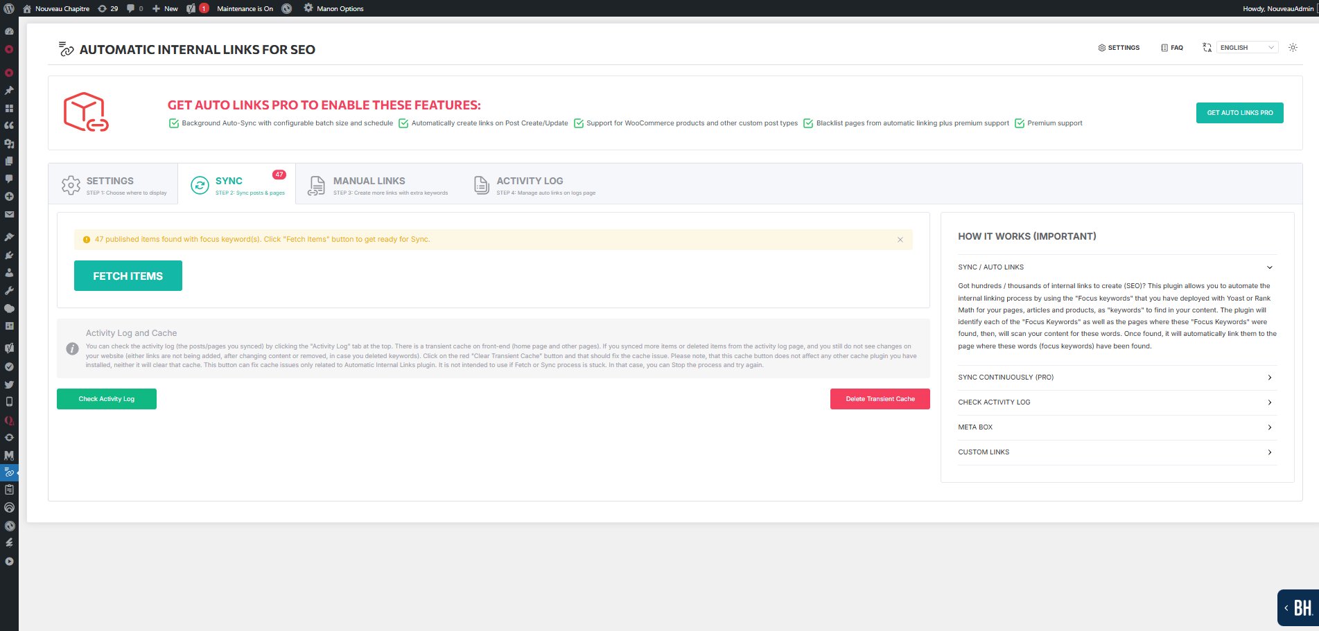 Automatic Internal Links — Sync tab with 17 items ready